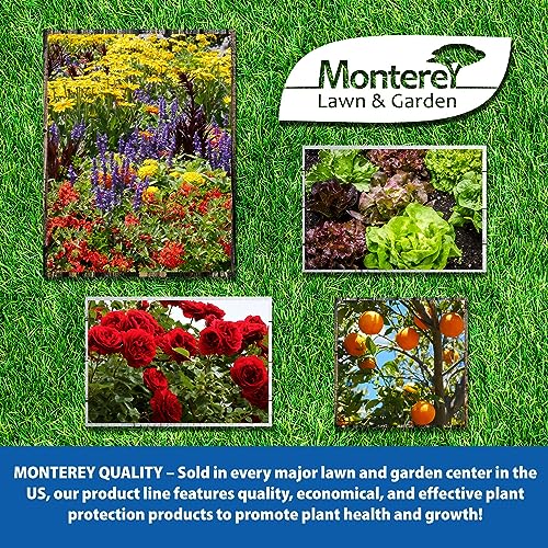 One Pint Spurge Power Herbicide K335082