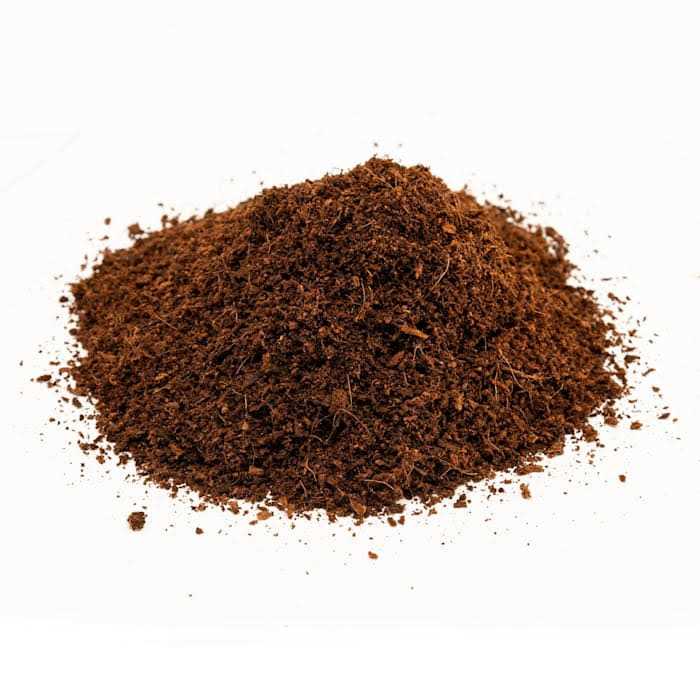 Loose Coconut Fiber Substrate R40139