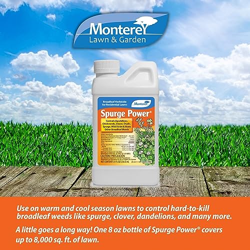 One Pint Spurge Power Herbicide K335082