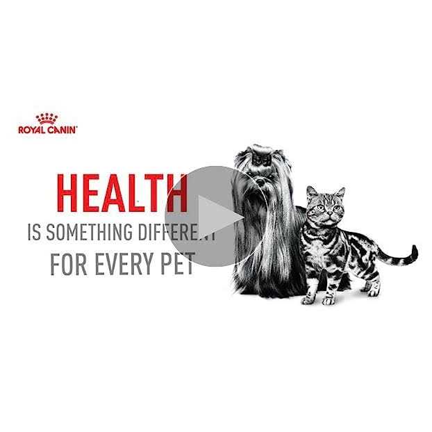 Adult Feline Health Nutrition Morsels in Gravy Cat Food Y4463