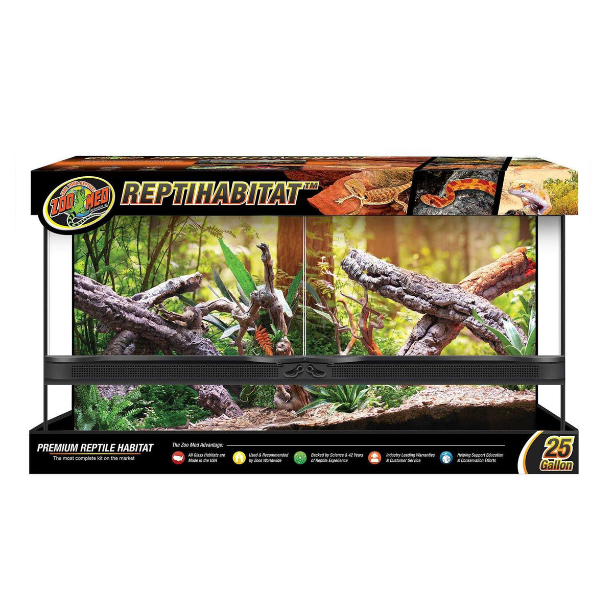 Naturalistic Terrarium X66594