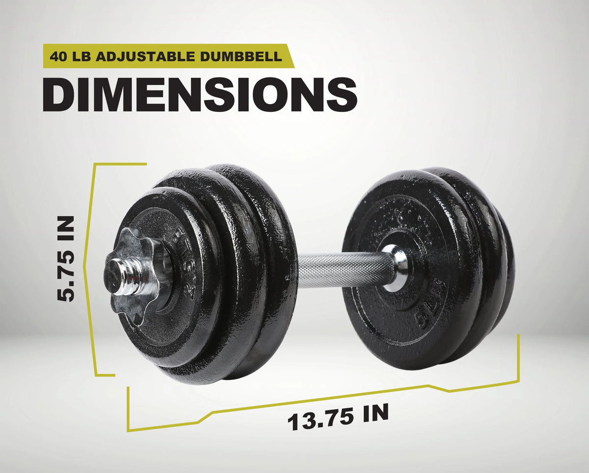 40 lb Adjustable Cast Iron Dumbbell Set with Case T825