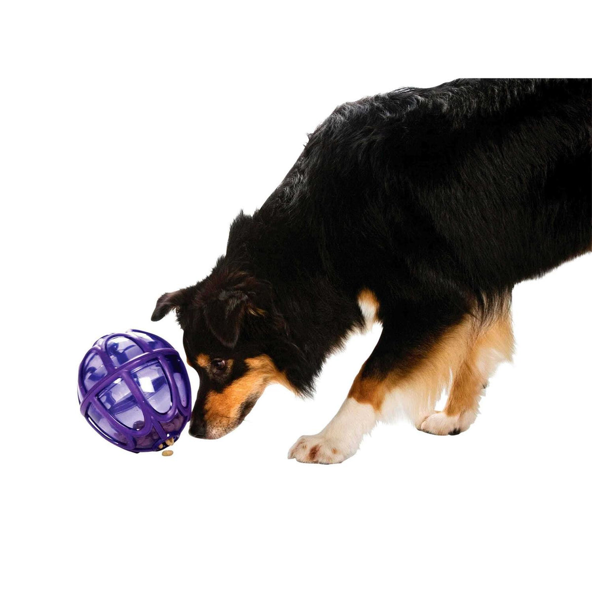 Kibble Nibble Dog Toy B96361
