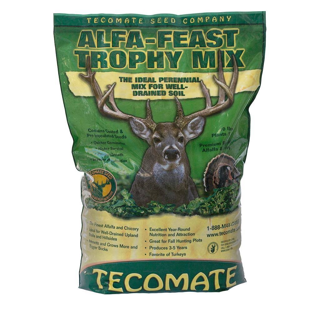 Perennial Food Plot Seed B650