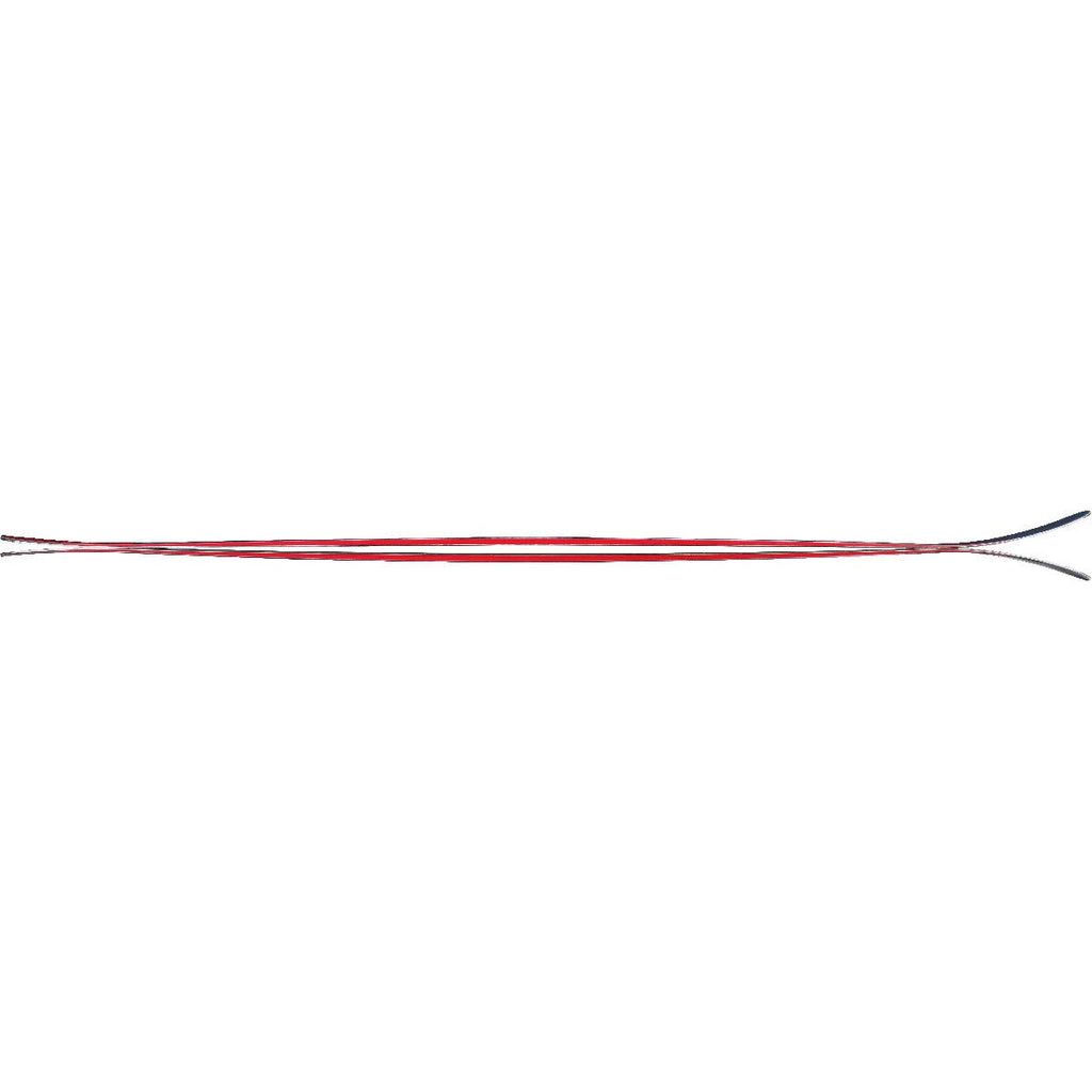 Skis 179 cm J5846
