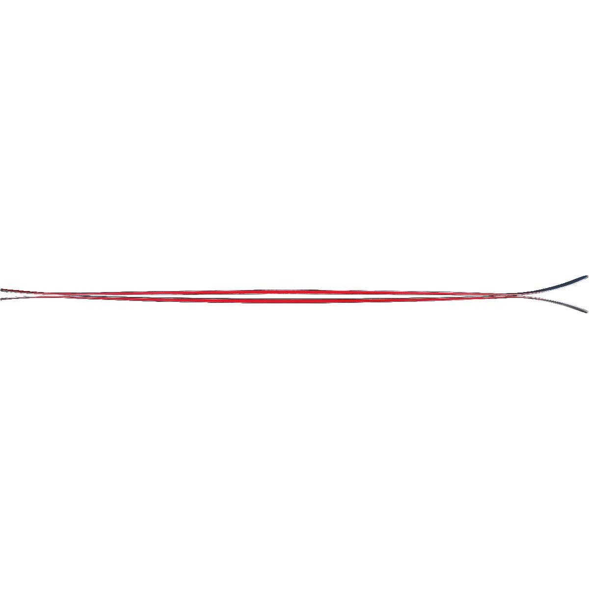 Skis 179 cm J5846