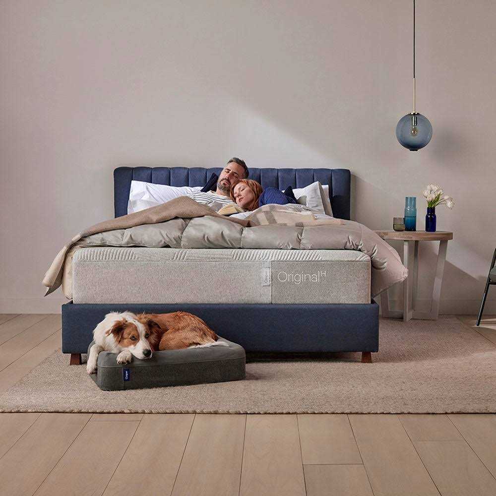 Casper Dog Bed R7825
