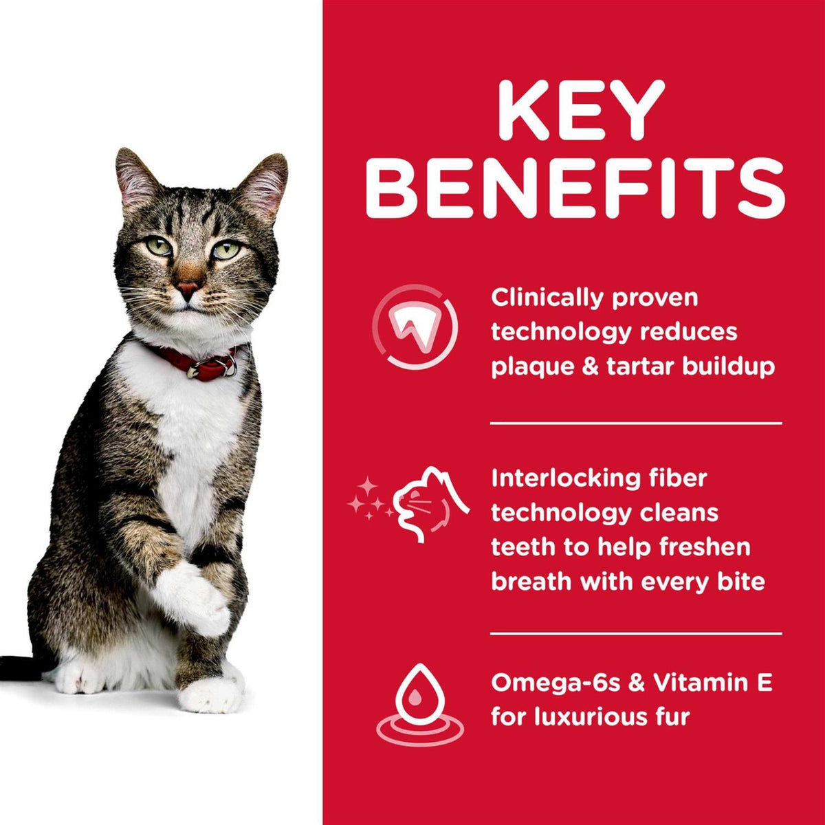 Oral Care Adult Dry Cat Food L72297