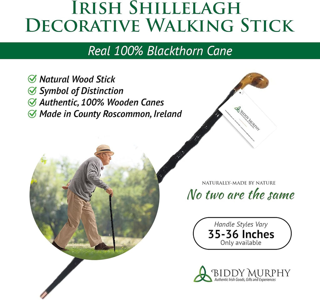 Blackthorn Walking Stick Q860