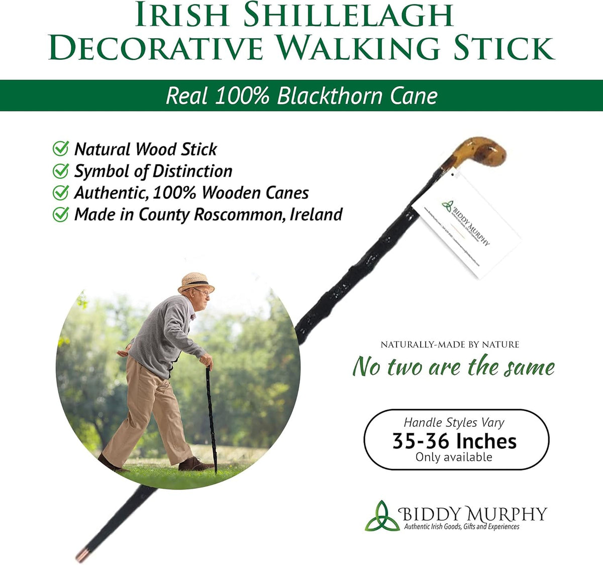 Blackthorn Walking Stick Q860