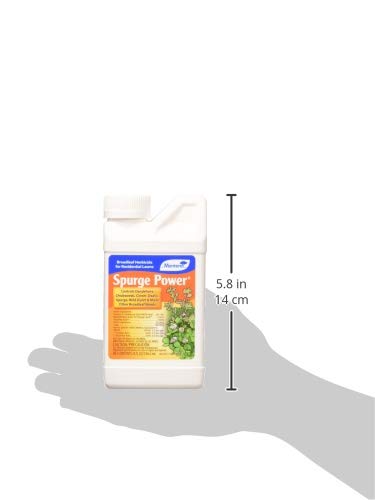 One Pint Spurge Power Herbicide K335082
