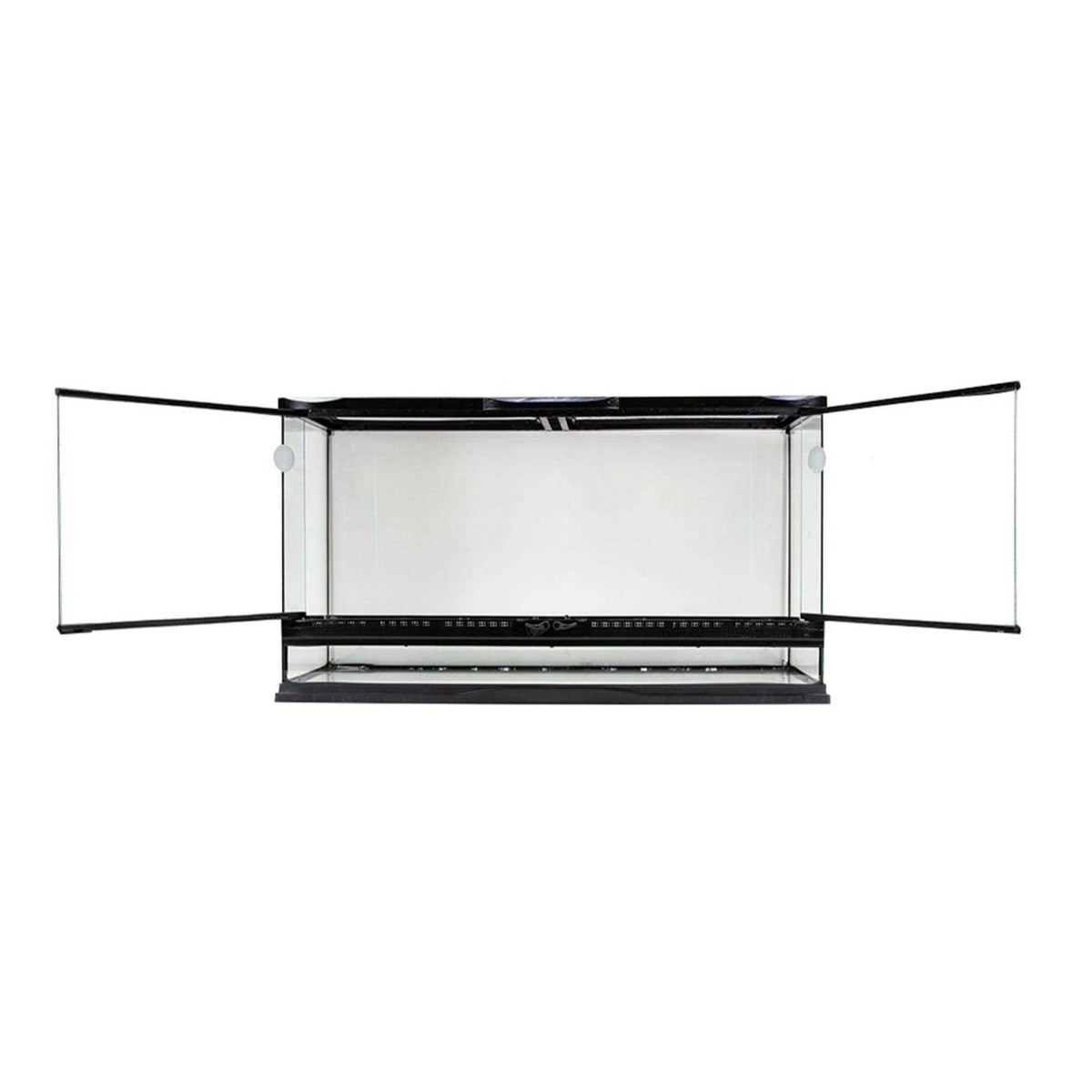 Naturalistic Terrarium X66594