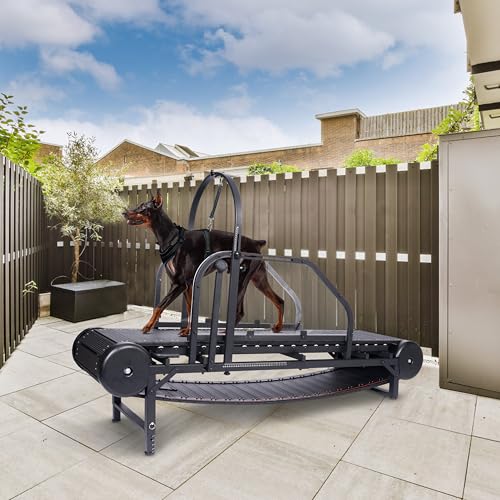 Adjustable Ramp Canine Running Slatmill Machine with Pedometer C174