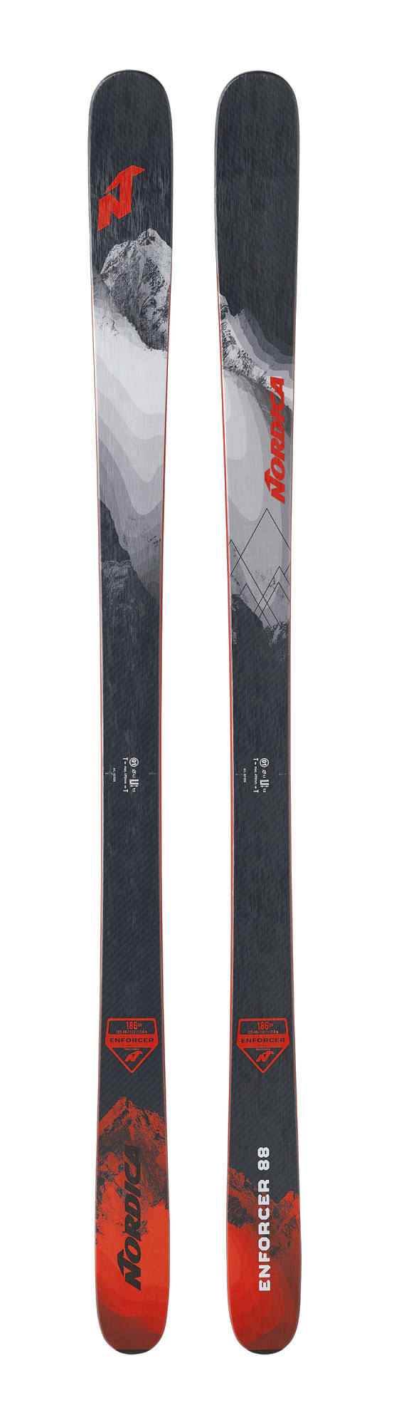 Skis 179 cm J5846