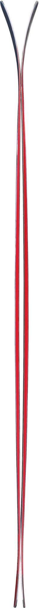 Skis 179 cm J5846
