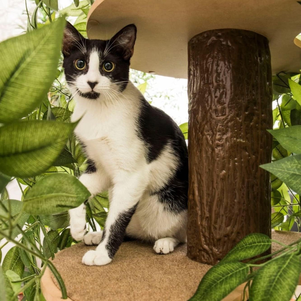 Cat Tree with Leaves X4966