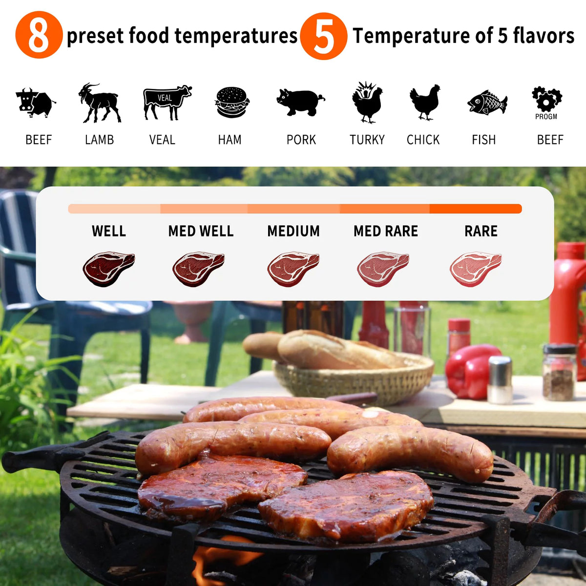Wireless Digital Meat Thermometer with 2 Probes P3381