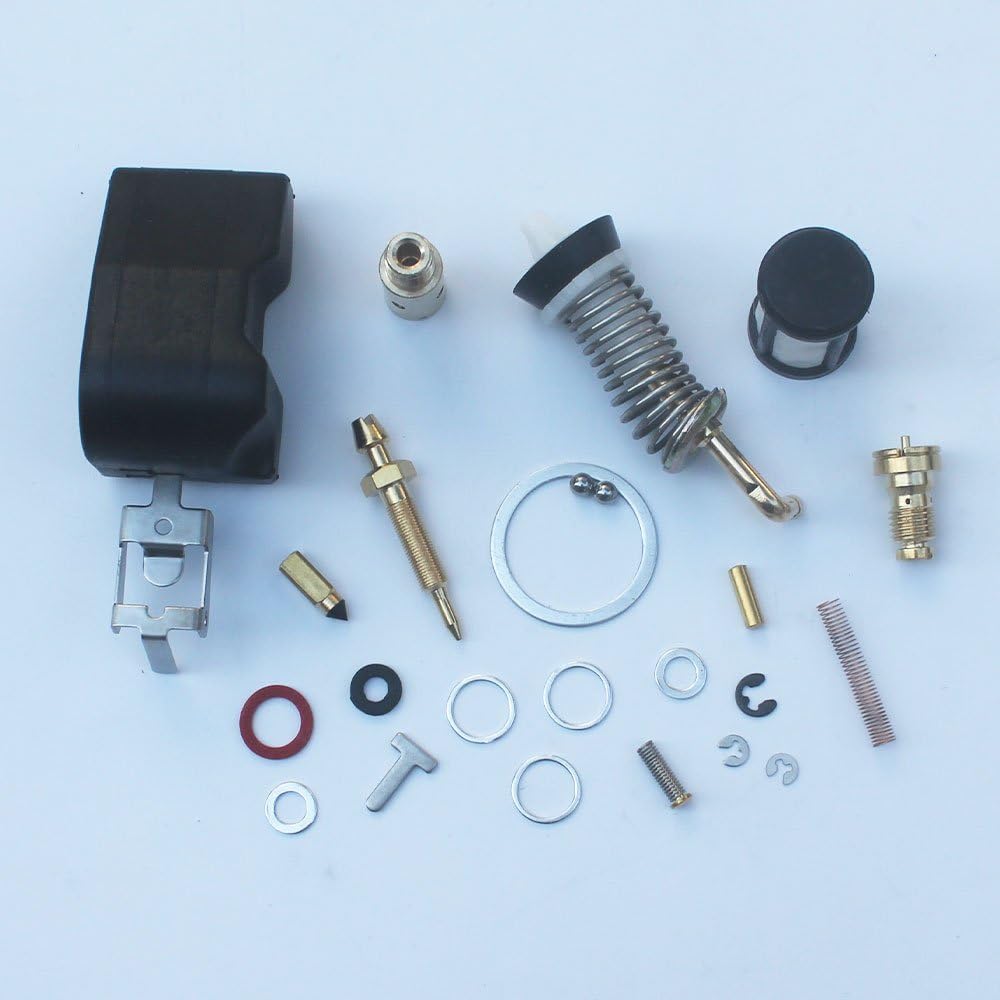 Carburetor Repair Rebuild Kit for 2 Barrel Rochester Carburetor with Float C581