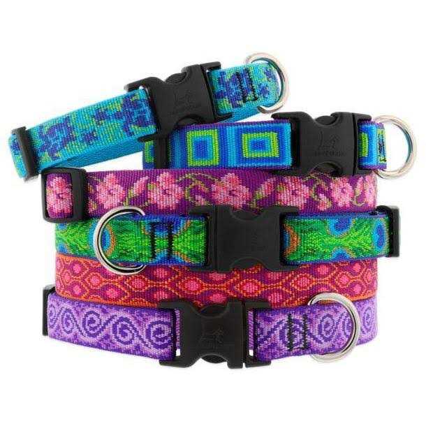 Dog Collar X56035