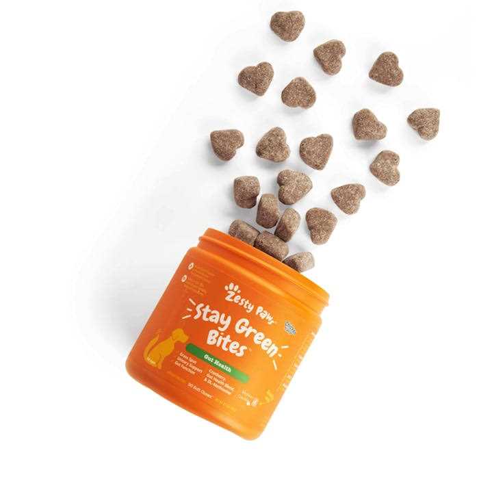 Stay Green Bites for Dogs U2622