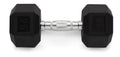 Rubber Hex Dumbbell 45 lbs R638441