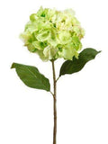 Lime Hydrangea Spray 12 Pieces J91284