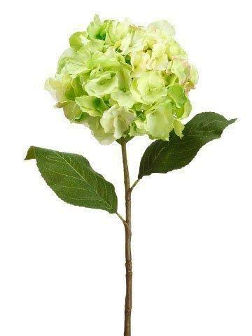 Lime Hydrangea Spray 12 Pieces J91284