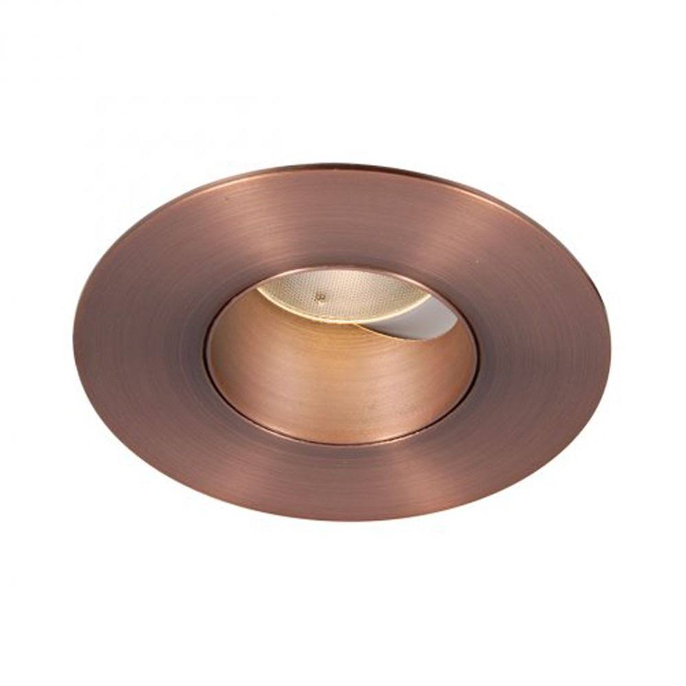 Copper Bronze Adjustable Trim LED Module E389469