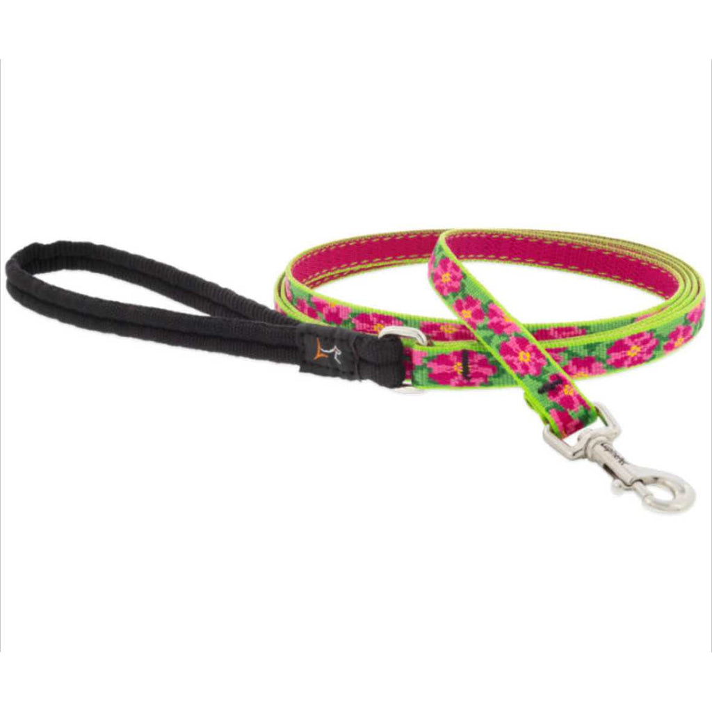 Dog Collar X56035
