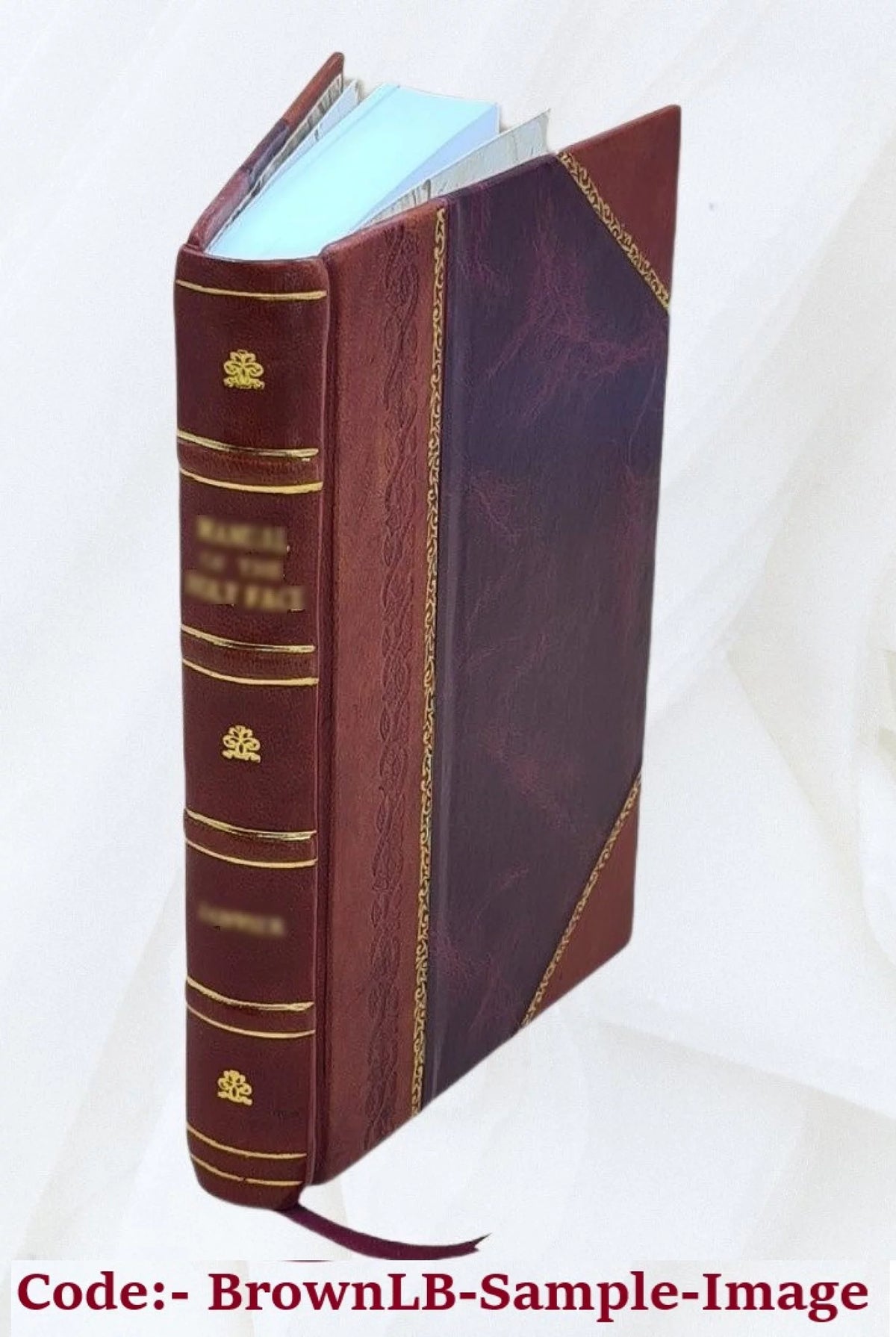 Electric Interlocking Handbook 1913 Leather Bound R313