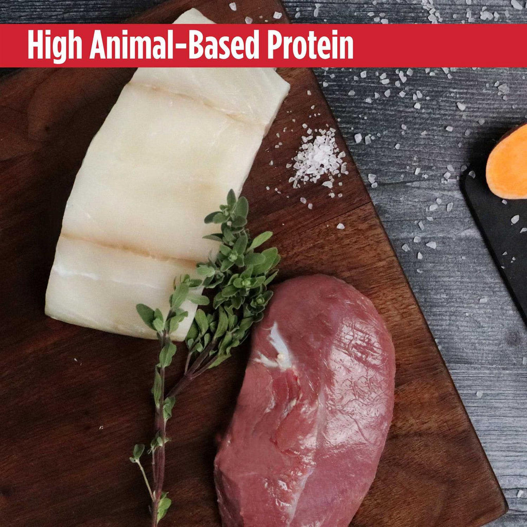 Grain-Free Salmon & Sweet Potato Dry Cat Food W755