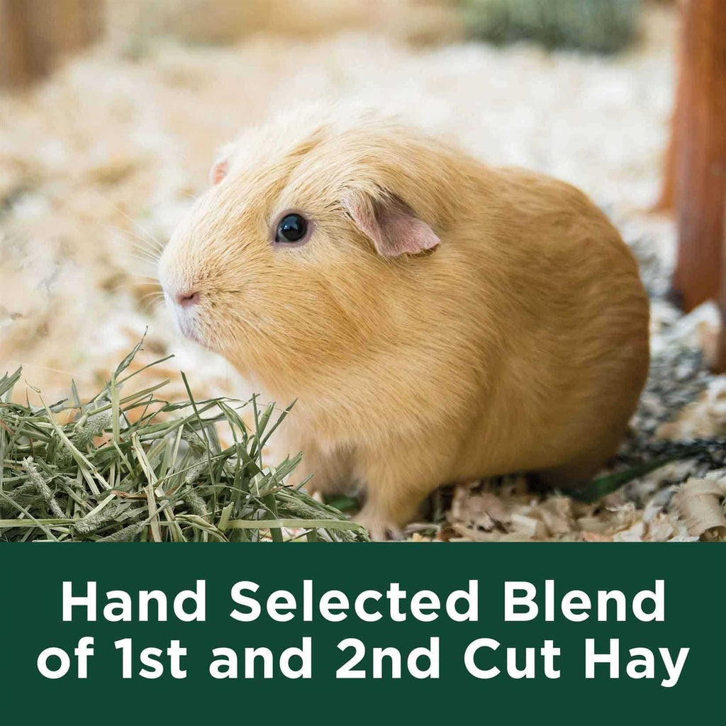 Natural Timothy Hay M9665