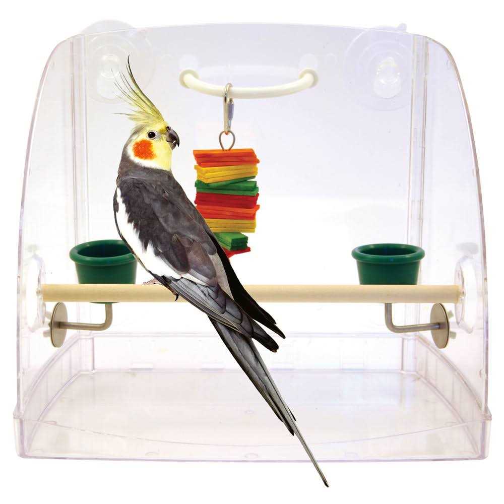 Window Play Center D790