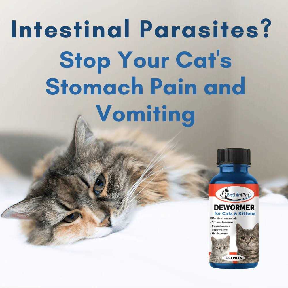 Broad Spectrum Dewormer for Cats and Kittens I579881