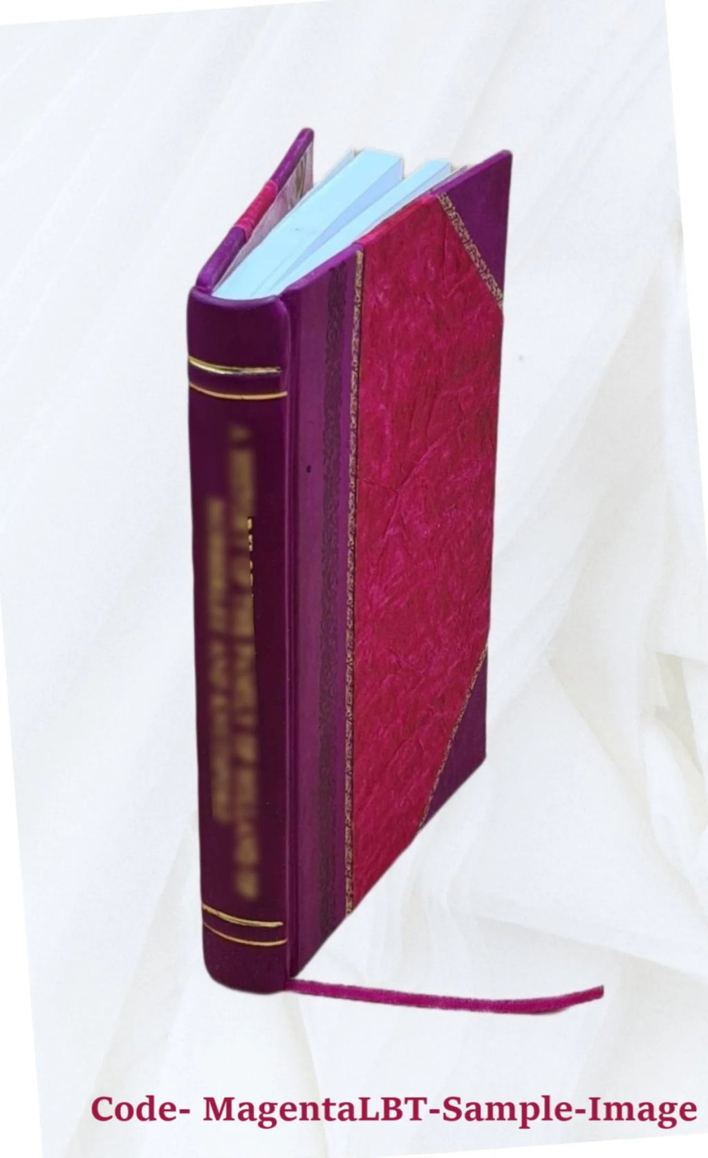 Hommage de l'Institut égyptien 1912 Leather Bound M924