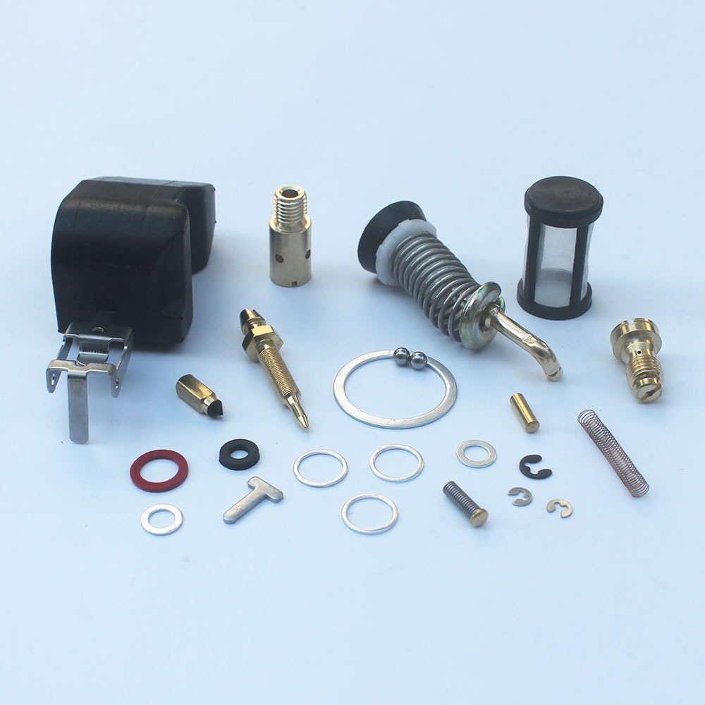 Carburetor Repair Rebuild Kit for 2 Barrel Rochester Carburetor with Float C581