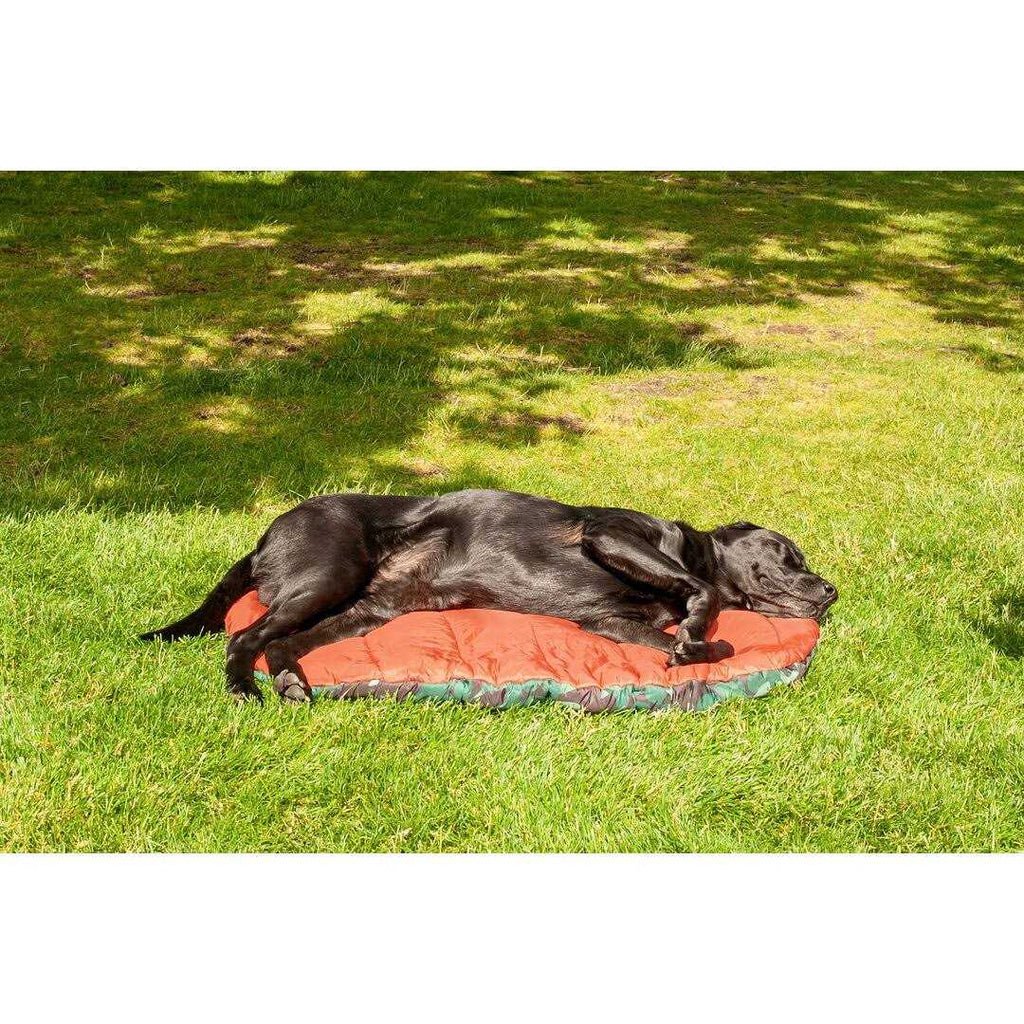 Packable Travel Dog Bed U953