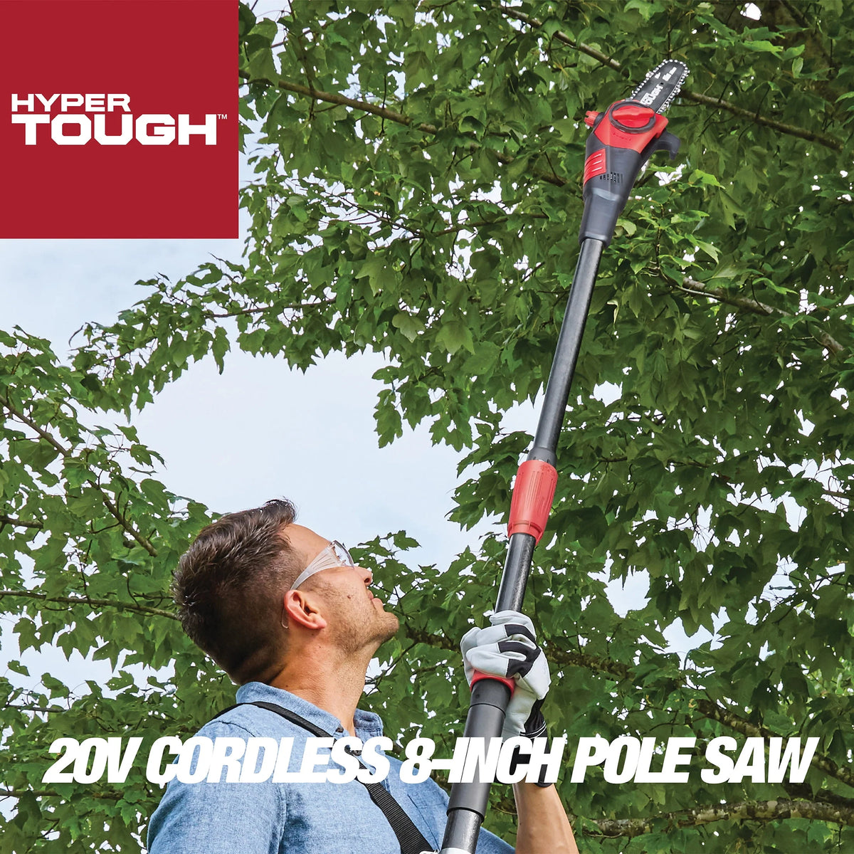 20V Max Cordless 8 Pole Saw V255172