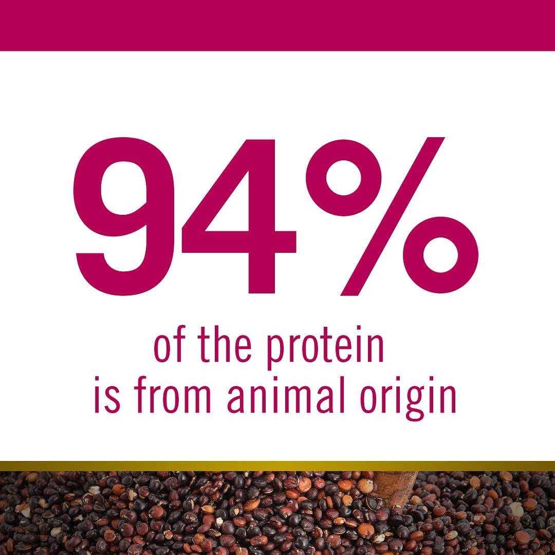 Quinoa Urinary Duck Cat Food O926