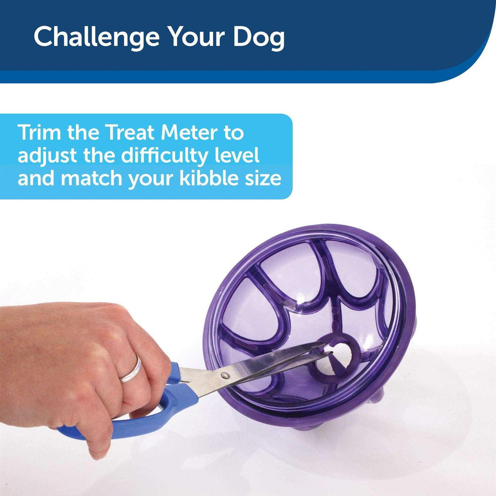 Kibble Nibble Dog Toy B96361