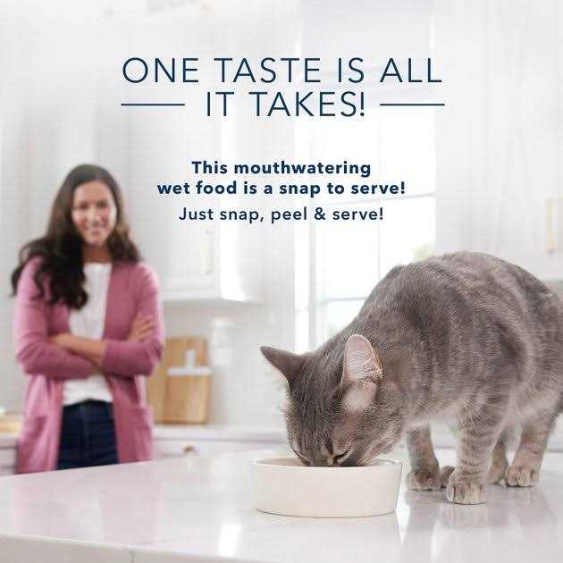 Adult Cuts in Gravy Wet Cat Food P1408