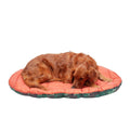 Packable Travel Dog Bed U953