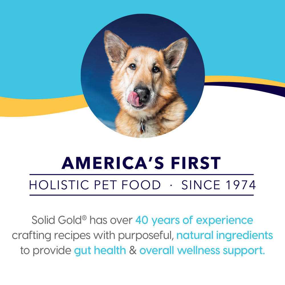 Chicken Dry Dog Food P65735