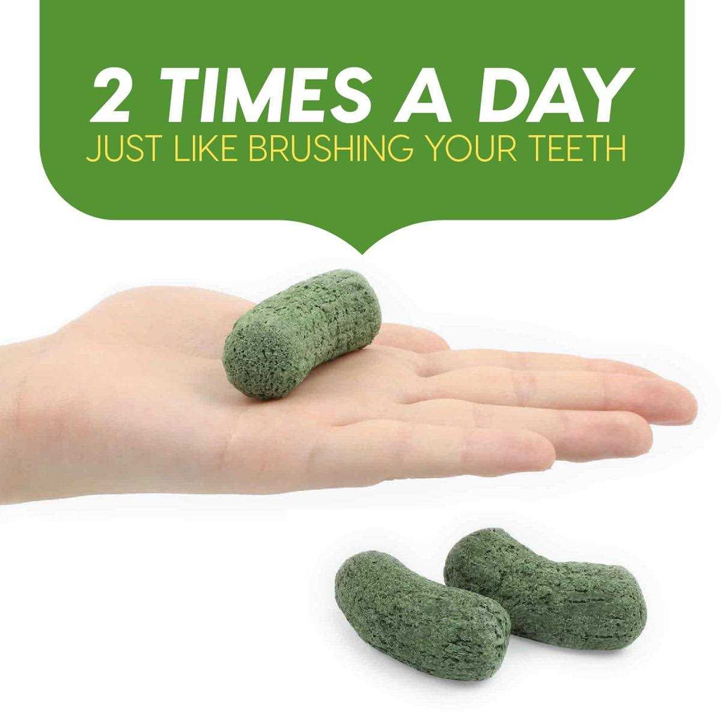 Brushless Toothpaste H730