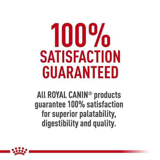 Adult Feline Health Nutrition Morsels in Gravy Cat Food Y4463