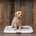 Square Pet Training Pad Holder T60483