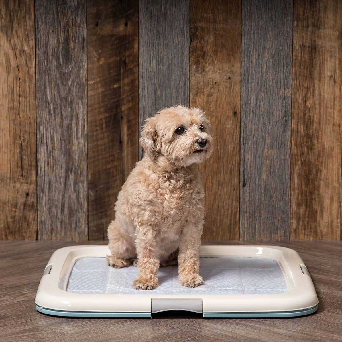 Square Pet Training Pad Holder T60483