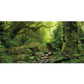 Foggy Forest Reptile Habitat Background H820