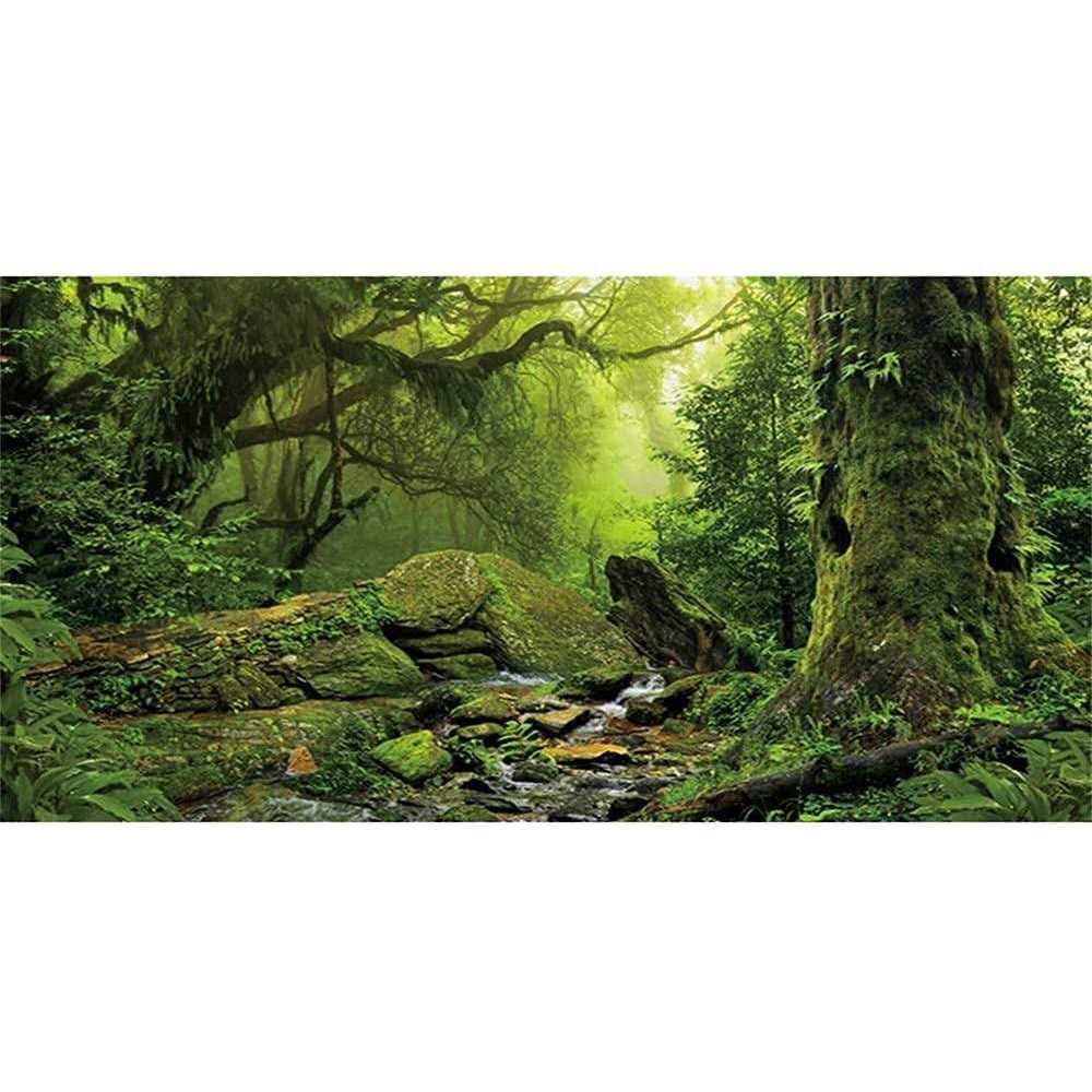 Foggy Forest Reptile Habitat Background H820
